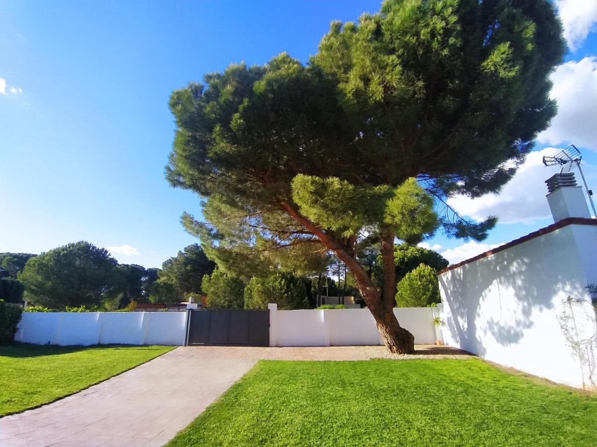 Casa Rural La Luz De Ari Traspinedo エクステリア 写真