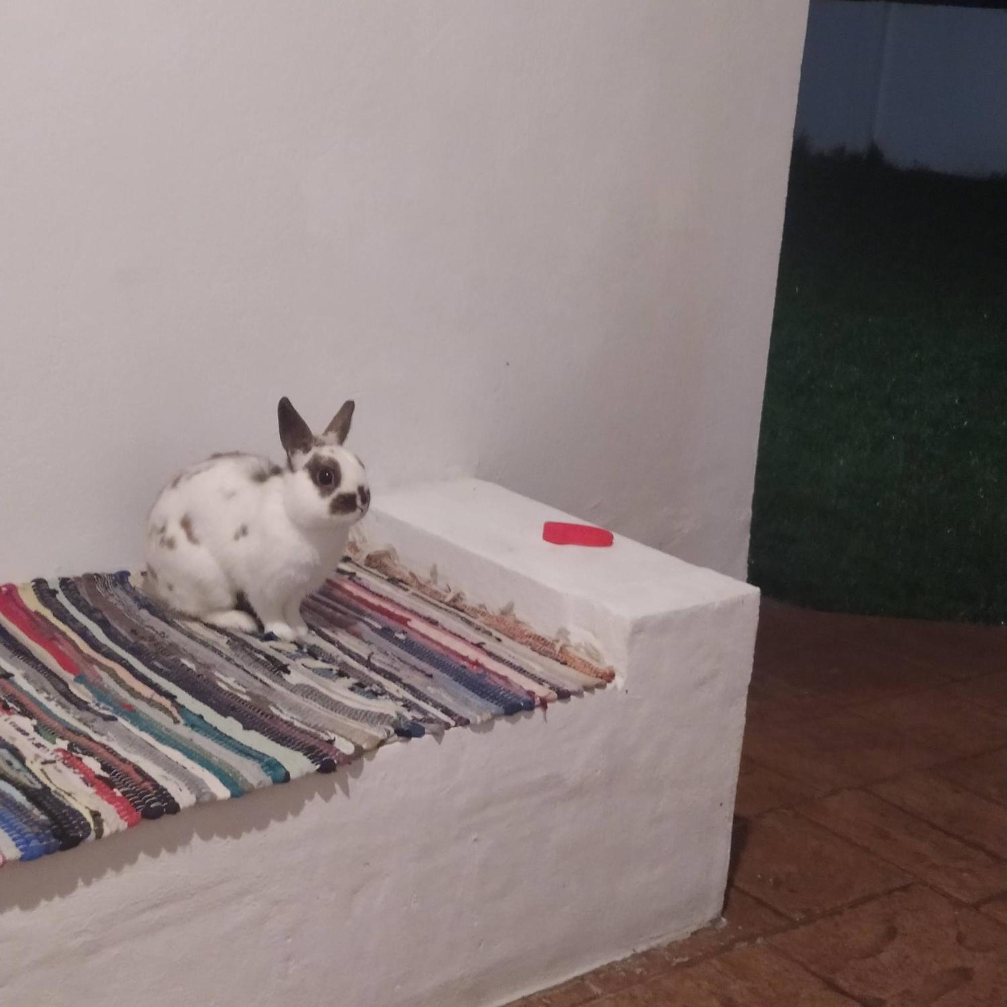 Casa Rural La Luz De Ari Traspinedo エクステリア 写真